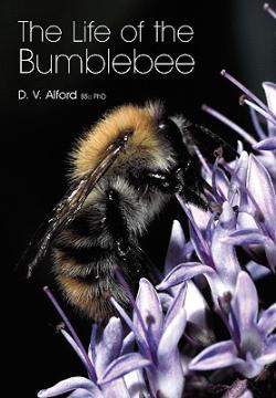 thumbnail - The Life of the Bumblebee